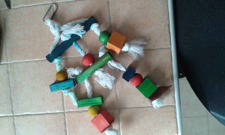 giochino coco si
scolorisce